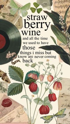 a collage of various items including an old record, flowers and leaves with the words straw berry wine and all the time we used to have those things i miss but know