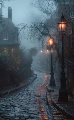 an empty cobblestone street in the foggy city with two lamps on either side