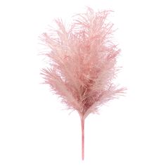 "Purchase the 22\" Pink Glitter Pampas Grass Bush by Ashland® at Michaels. A festive and decorative addition to your flower arrangement, this pink glitter pampas grass will pair nicely with poinsettias, white roses, pine and more! Create a gorgeous seasonal flower arrangement with this white pampas grass bush from Ashland. A festive and decorative addition to your flower arrangement, this pink glitter pampas grass will pair nicely with poinsettias, white roses, pine and more! Details: Pink 22\" Large Ornaments For Pampas Tree, Pink Pampas Christmas Tree, Pampas Grass Xmas Tree, Blush Pink Tree, Pampas Grass Christmas Tree Picks, Pink Pampas Grass Wedding Centerpieces, White Pampas, Seasonal Flowers, Pampas Grass