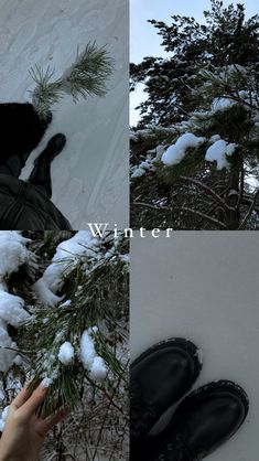 two pictures with snow and trees in the foreground, one has black shoes on it