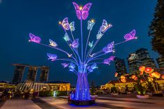 a lit up tree in the middle of a park with lots of butterflies on it