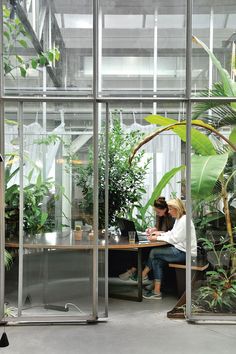 two women sitting at a table in an office with lots of green plants on the walls