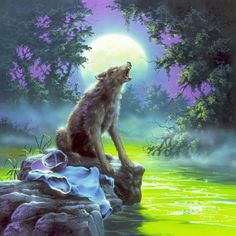 a painting of a wolf sitting on top of a rock in the middle of a river