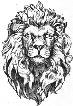 a black and white drawing of a lion's head