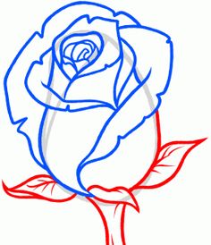 a drawing of a rose on a white paper with red outline and blue line in the middle