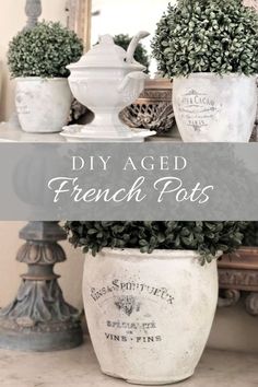 some potted plants sitting on top of a table next to a mirror with the words diy aged french pots