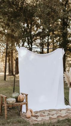 a white backdrop is set up with pumpkins and gourds