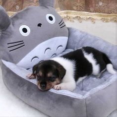 a small dog laying in a bed with a totoro stuffed animal on it