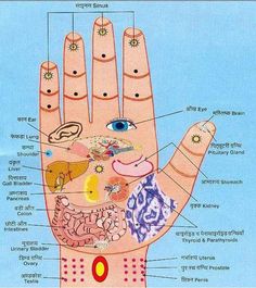 Press with thumb for 5 seconds & release for 3 seconds, in the affected point. Repeat for 2-3 minutes for 5 to 10 days. You will get relief. Shiatsu Massage, Hand Massage, Acupressure Points, Pressure Points