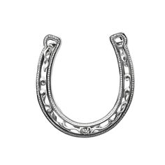 a pair of silver horseshoes with diamonds on the inside and outside, set against a white background