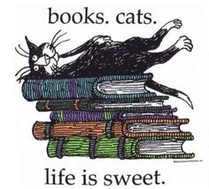 a black cat laying on top of a pile of books