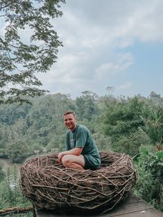 a man sitting on top of a bird's nest in the middle of a forest