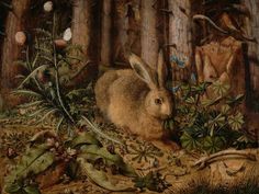 a painting of a rabbit in the woods with other animals around it and plants on the ground