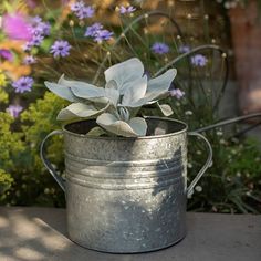 a metal bucket with a plant in it