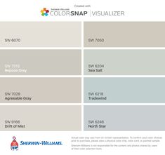 the color scheme for colorsnap visualizer, which is available in multiple colors