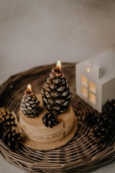 two pine cones sitting on top of a wicker basket