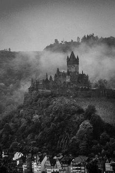 a castle on top of a hill with trees in the foreground and fog rolling over it