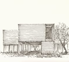 an ink drawing of a house with trees in the front yard and bushes to the side