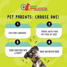 #petparents #petparenting #petparenthood #petparentlife #petparent #petparentproblems #lovefordogs #dogstagram #petstagram #petsofinstagram Koramangala Bangalore, Dog Training At Home, Puppy Yoga, Pet Brand, Pet Branding, Training At Home, Pet Market, Gudi Padwa, Pet Spa