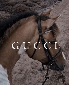 a brown and white horse with the words gucci on it's face next to a dirt road