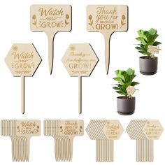 six wooden signs with plants in them