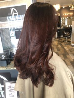 Reddish Burgundy Hair, Reddish Tint Hair Dark Brown, Dark Red Chestnut Hair, Chocolate Brown Reddish Hair, Reddish Brownish Hair, Brownish Maroon Hair, Brown Hair With Hints Of Red, Plum Brown Hair Color With Highlights