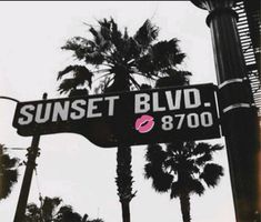 the street sign for sunset blvd is in front of palm trees and a lamp post