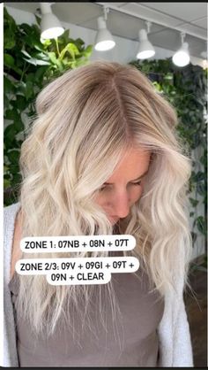 Toner Shades, Blonde Formulas, Cosmetology Career, Private Instagram, Hair Formula