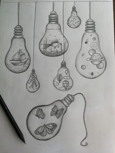 pencil drawing of light bulbs with different things inside them