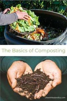 the basics of composting and how to use it in your garden or yard