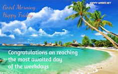 a tropical beach with palm trees and the words good morning happy friday congratulations on reaching the most awaiting day of the week