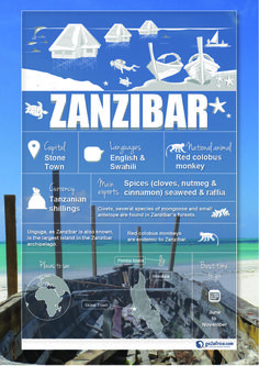 a poster with information about zanibar on the beach