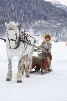 a man riding on the back of a white horse pulling a sleigh