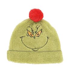 a green beanie with a red pom - pom on it's head