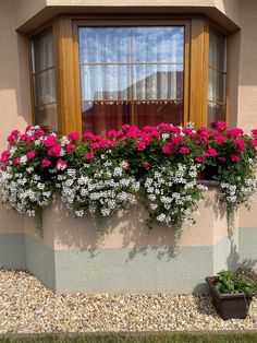 pink and white flowers are in a window box on the side of a building with gravel