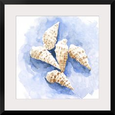 three seashells on blue watercolor paper framed art print by artist mark adkins