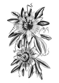 a black and white drawing of flowers