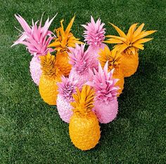 pineapples and pink flowers are arranged on the grass