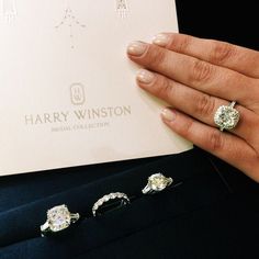 a woman's hand holding three diamond rings and a card with the name harry winston written on it