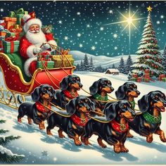 a group of dachshunds pulling a sleigh with santa claus on it