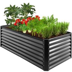 an outdoor garden box with plants growing in it