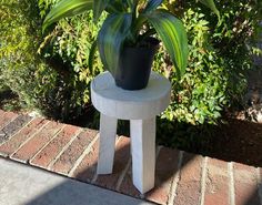 a potted plant sitting on top of a white stool next to a tree and bushes