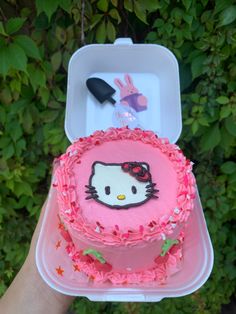 a hello kitty cake in a plastic container