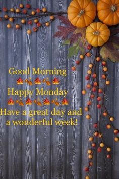 good morning happy monday have a great day and a wonderful week