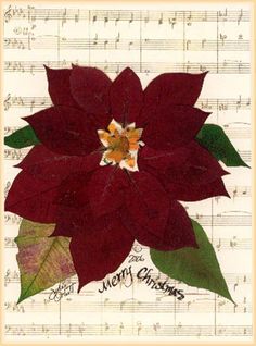 a red poinsettia sitting on top of sheet music