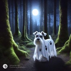 a small white dog standing in the middle of a forest at night with its paw prints on it's coat