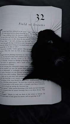 a black cat laying on top of an open book with the title field of dreams written in it