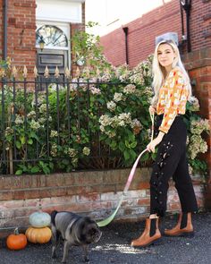 a woman walking her dog on a leash in front of some pumpkins and bushes