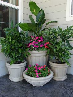 three large potted plants sitting on top of each other in front of a house