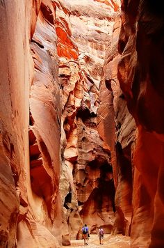 two people are walking through the narrow canyon